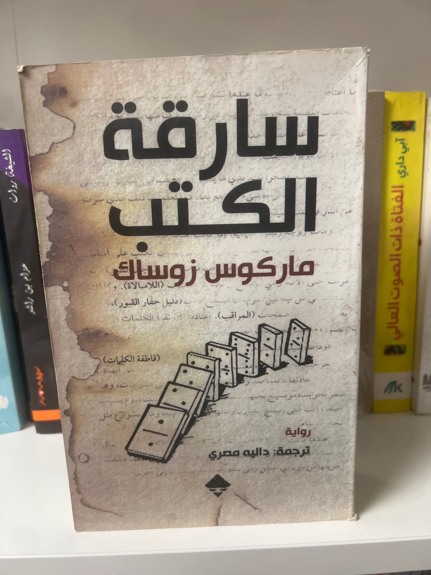 سارقة الكتب