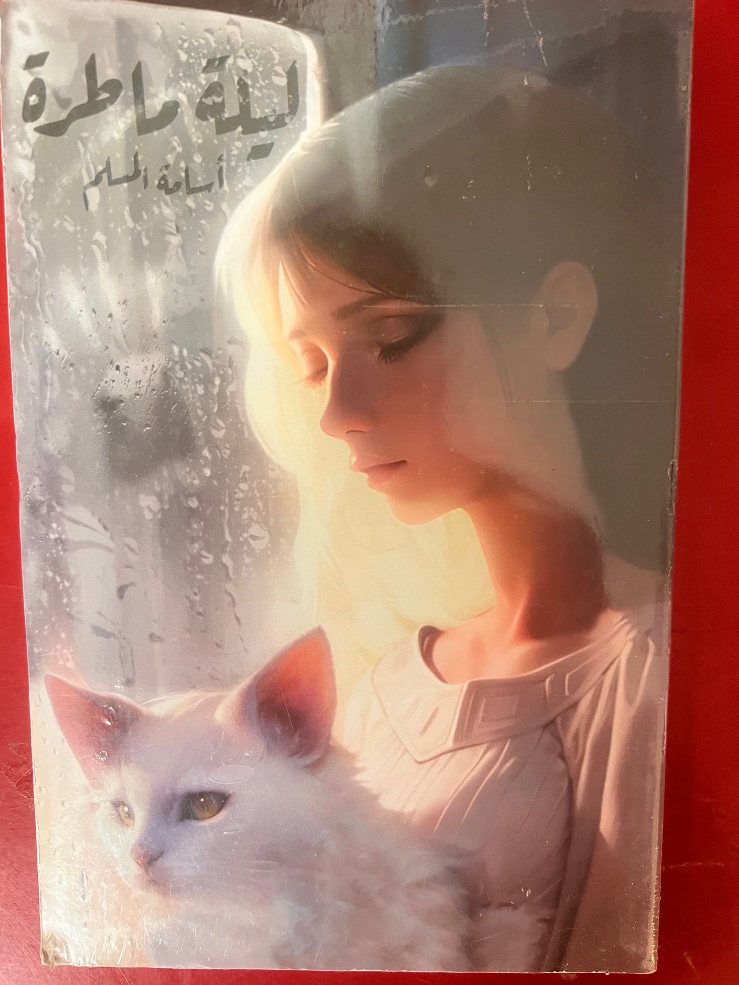 ليلة ماطرة